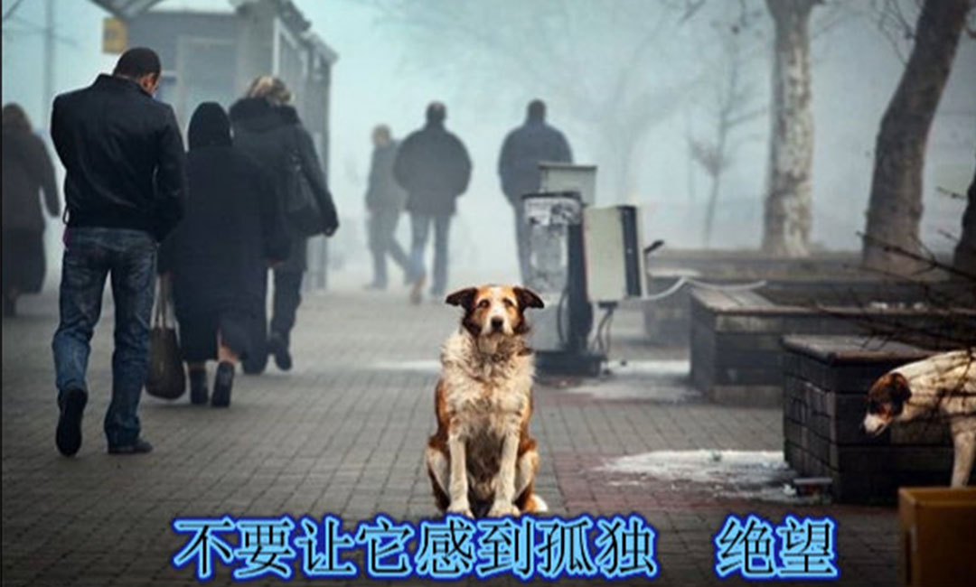 贵港贵港爱影圈微博微信转发案例